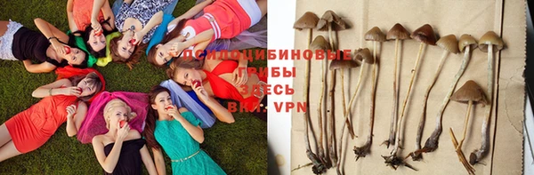 кокаин VHQ Белокуриха