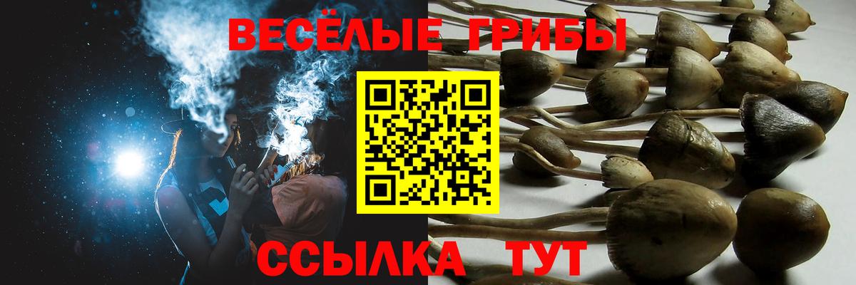 Валуйки  Галлюциногенные грибы мицелий  Вход с VPN 
